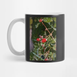 Berry Sweet Mug